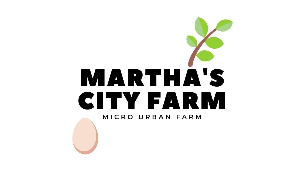 Fresh Eggs from Martha's Farm
